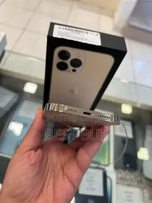 New Apple iPhone 13 Pro Max 256 GB Gold