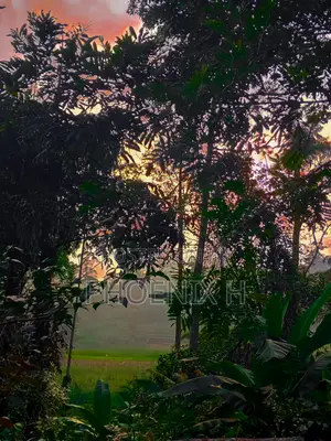 Land for Sale - Boralanda