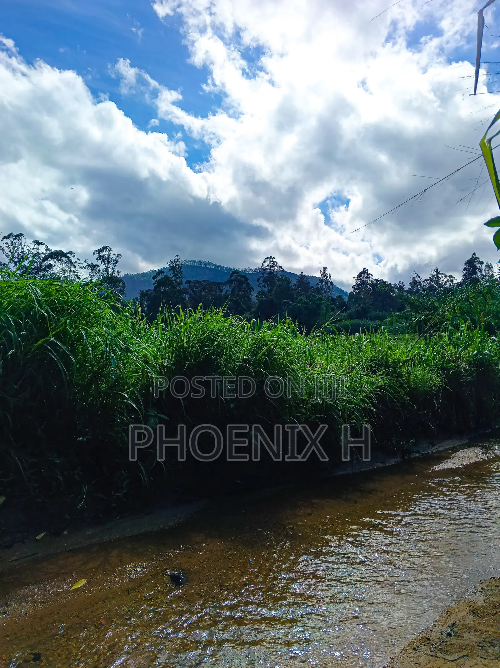 Land for Sale - Boralanda