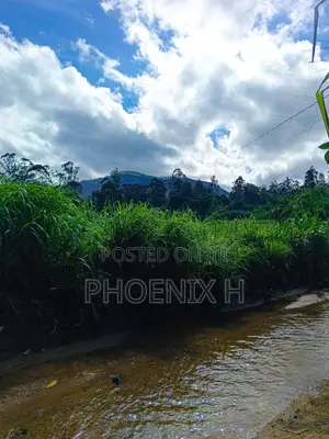 Land for Sale - Boralanda