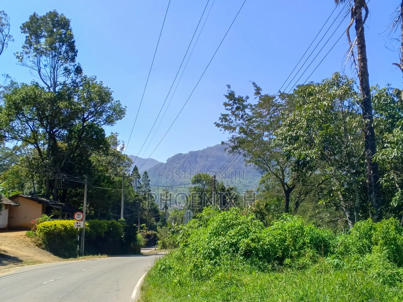 Land for Sale - Boralanda