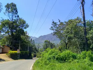 Land for Sale - Boralanda