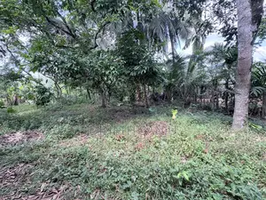 1bdrm House in Nawagamuwa, Gampaha City for sale