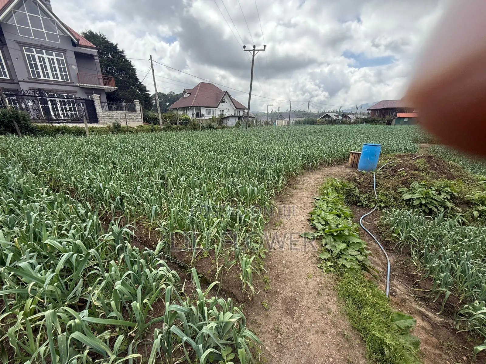 Nuwaraeliya Land for Sale