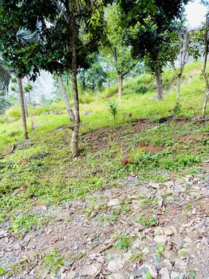 Land for Sale in Galigamuwa Kegalle