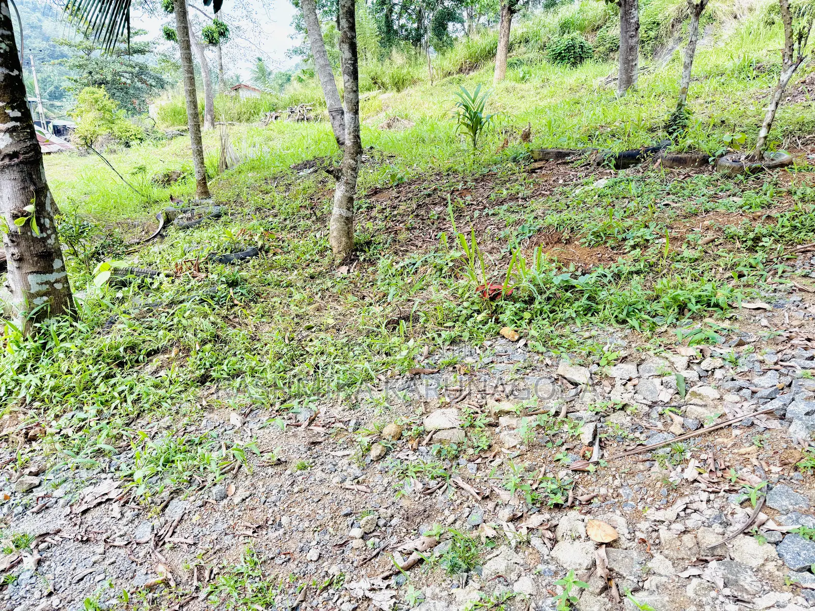 Land for Sale in Galigamuwa Kegalle