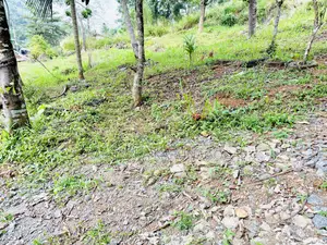 Land for Sale in Galigamuwa Kegalle