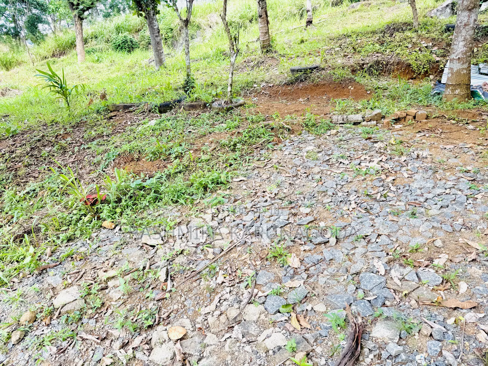 Land for Sale in Galigamuwa Kegalle