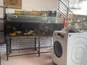 6x2x2 Ft Aquarium With Top Sump Full Set for Sale