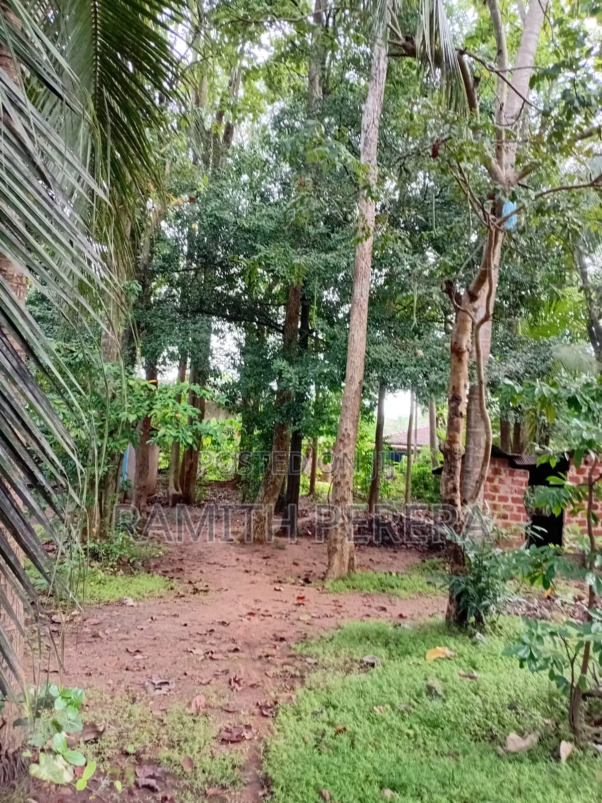 Valuable Land for Sale in A9 Road Kekirawa