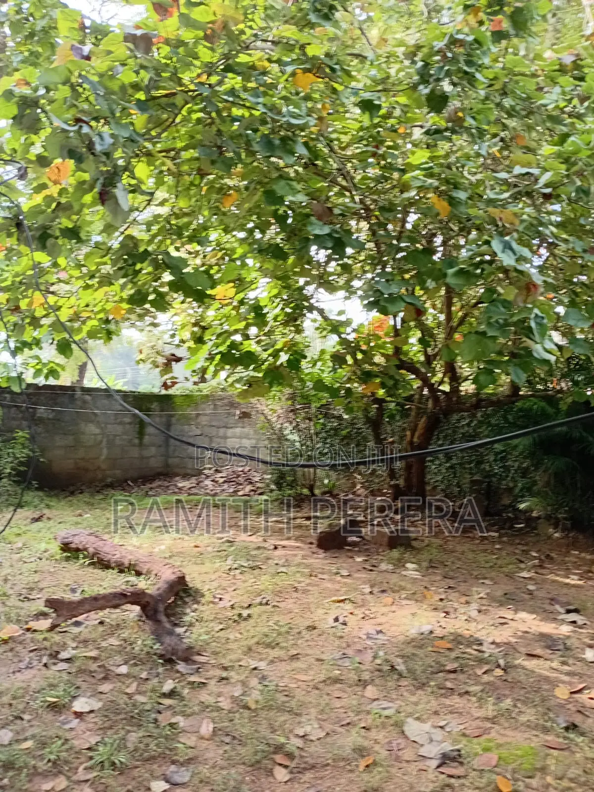 Valuable Land for Sale in A9 Road Kekirawa