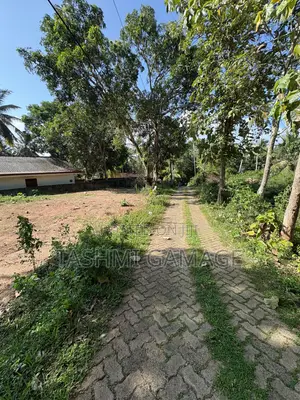 Freehold Land With High Investment Value for Sale!