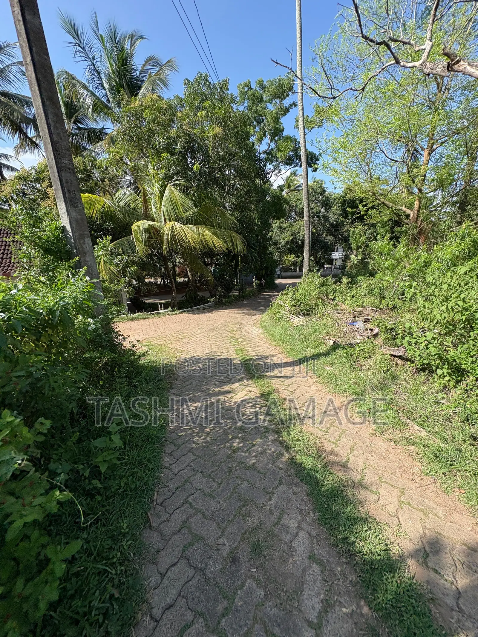 Freehold Land With High Investment Value for Sale!