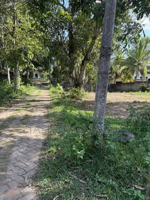 Freehold Land With High Investment Value for Sale!