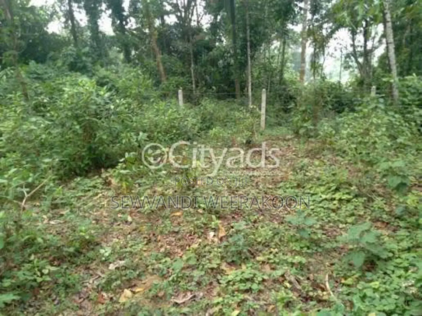 Horana මුලු ඉඩමම එකවර විකිනිමට