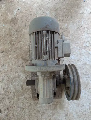 Italy 0.75 Hp Gear Motor