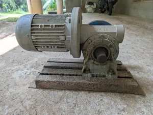 Italy 0.75 Hp Gear Motor