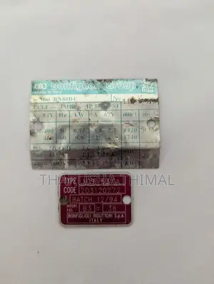 Italy 0.75 Hp Gear Motor