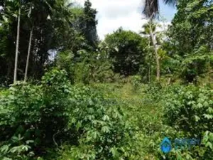 Horana මුලු ඉඩමම එකවර විකිනිමට