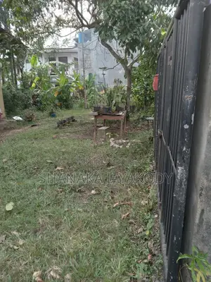 Land for Sale in Kandana