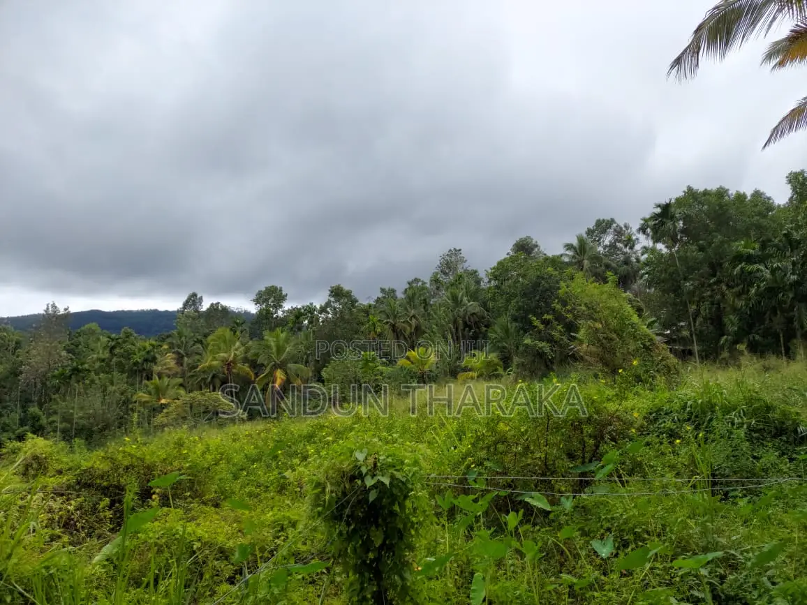 Land for Sale in Lunugala-Badulla