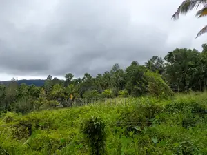 Land for Sale in Lunugala-Badulla