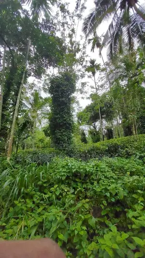 Land for Sale in Lunugala-Badulla