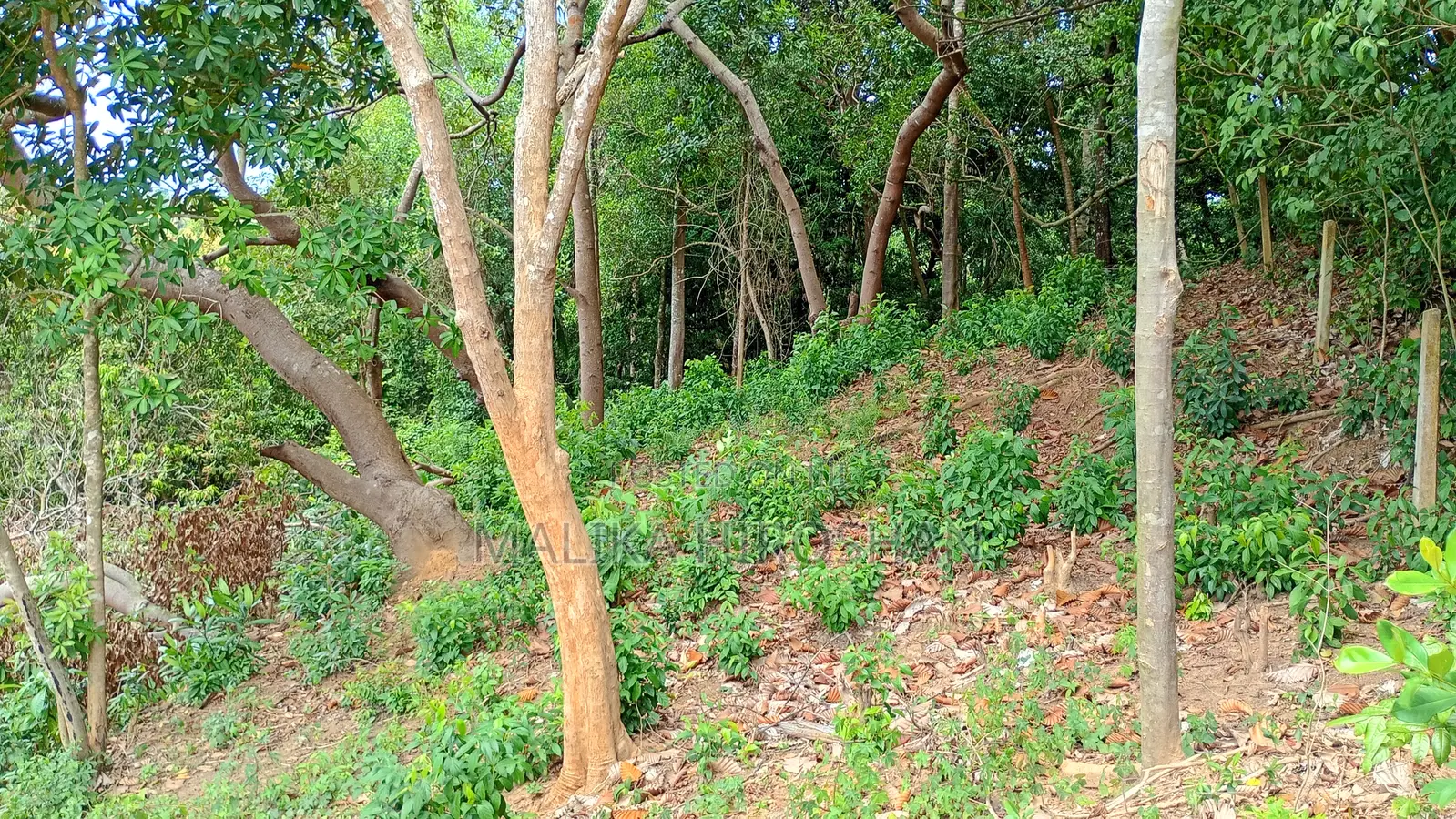 113 Full Land or Part Madiha Matara With 180' Panoramic View