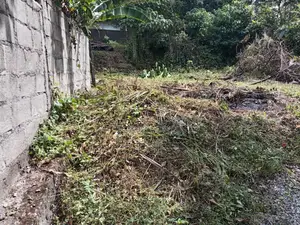 Valuable Land for Sale Homagama
