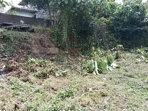 Valuable Land for Sale Homagama