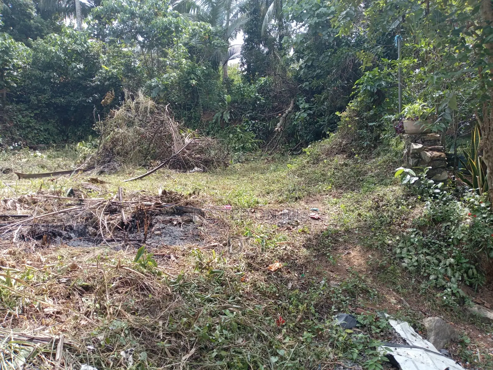 Valuable Land for Sale Homagama
