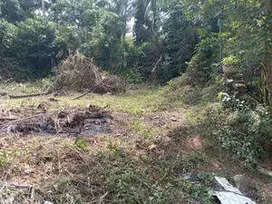 Valuable Land for Sale Homagama