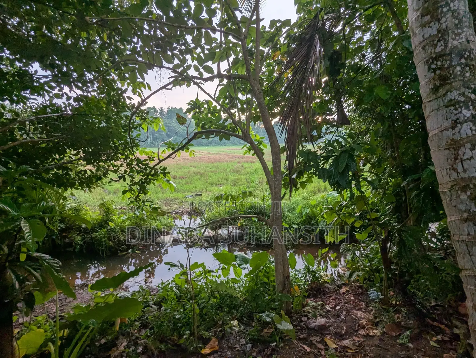 32 Perch Land to Sell With a House Yakkala- Kandy Rd