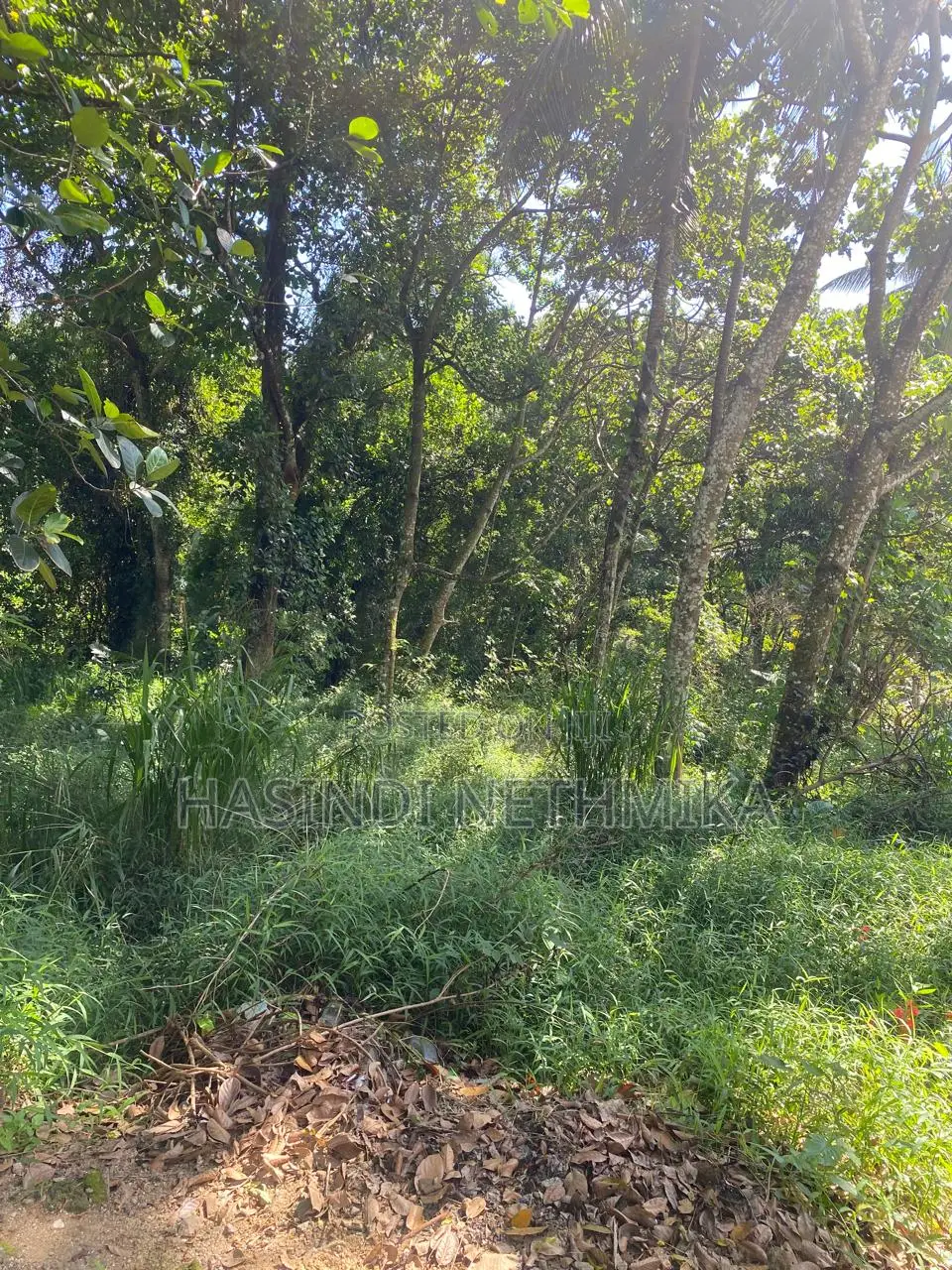 Valuable Land for Sale in Katugasthota