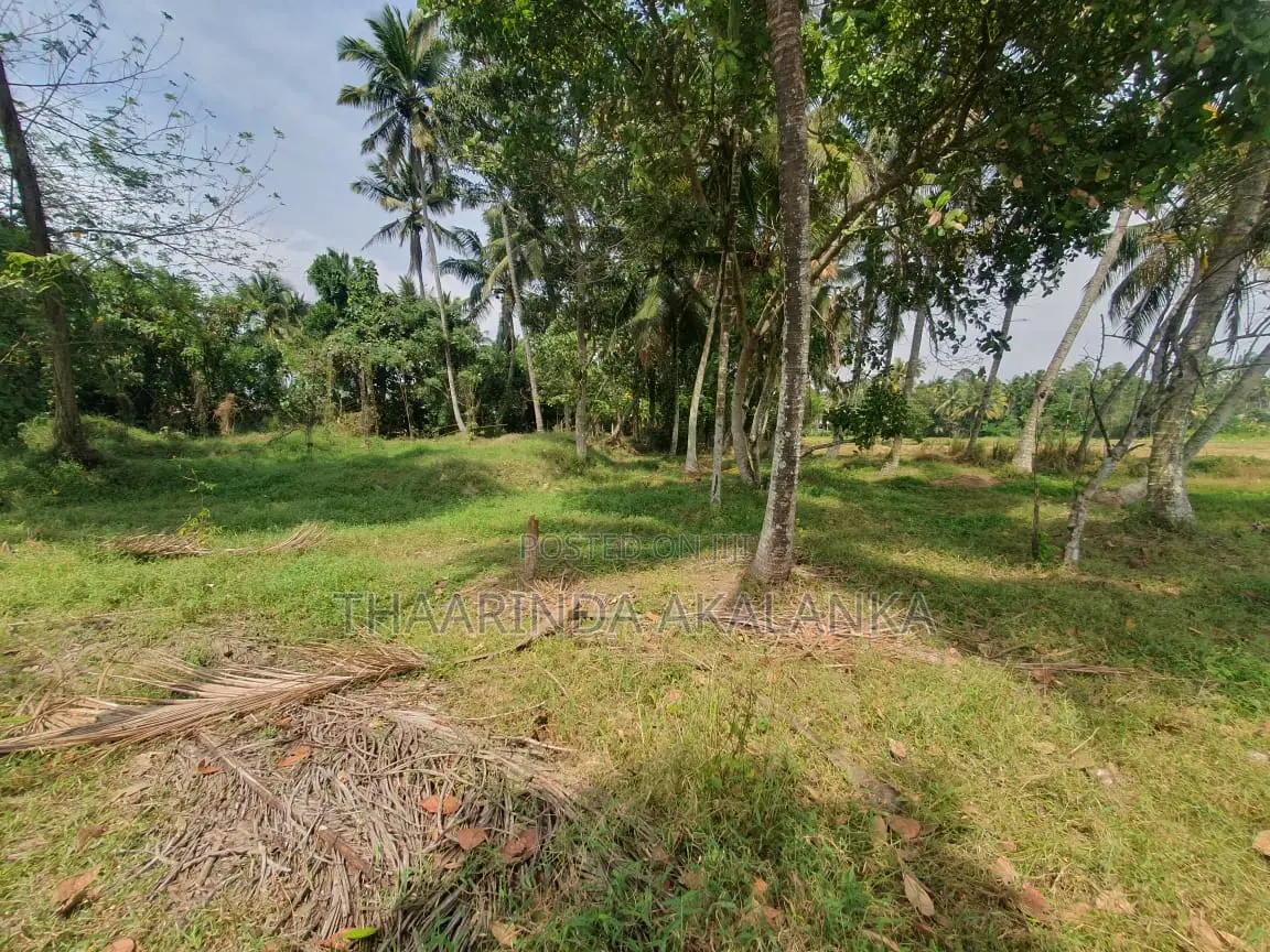 Land for Sale in Diulapitiya