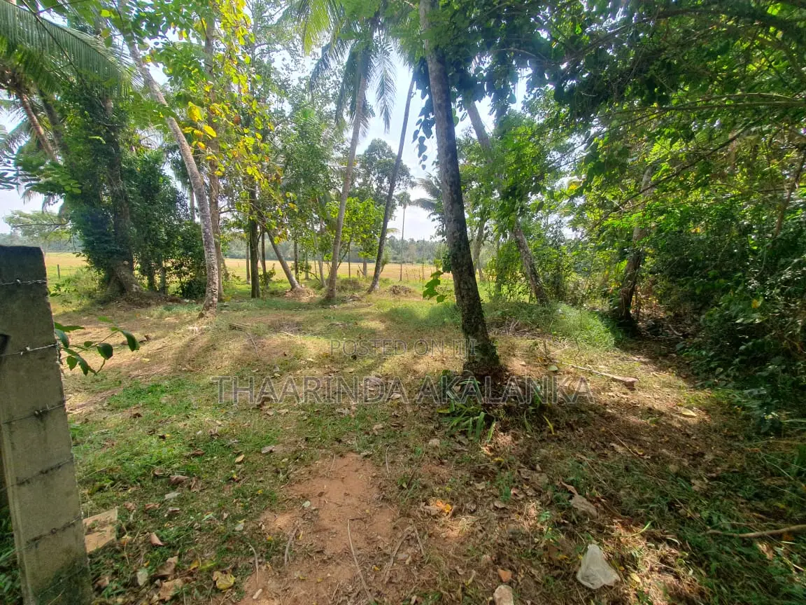 Land for Sale in Diulapitiya
