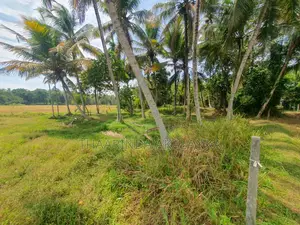 Land for Sale in Diulapitiya