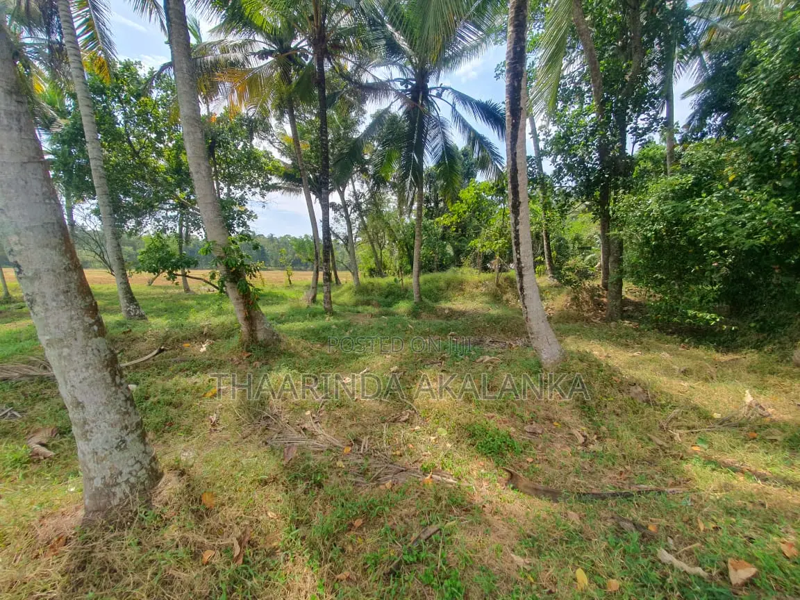 Land for Sale in Diulapitiya