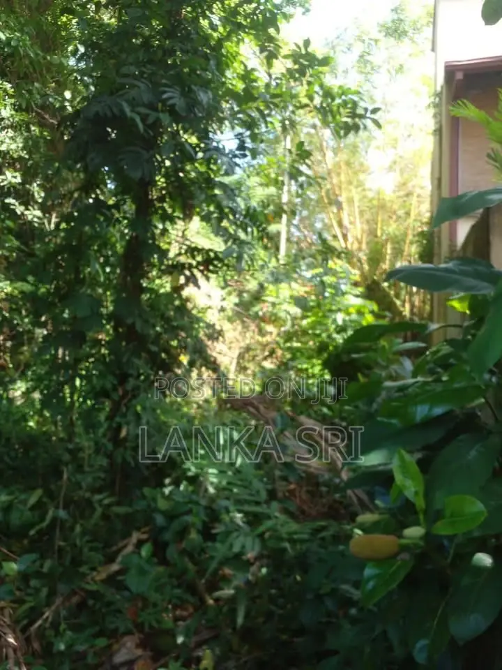 26 Perches of Prime Residential Land for Sale in Dehiwala