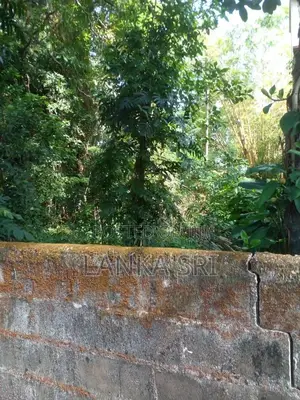 26 Perches of Prime Residential Land for Sale in Dehiwala