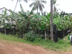 Prime Residential Land for Sale in Wijerama Rd Gampaha.