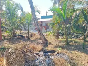 Land for Sale Tangalle Thissa Road (ප්‍රධාන පාර අසල)