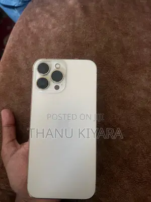 Apple iPhone 13 Pro Max 256 GB Gold