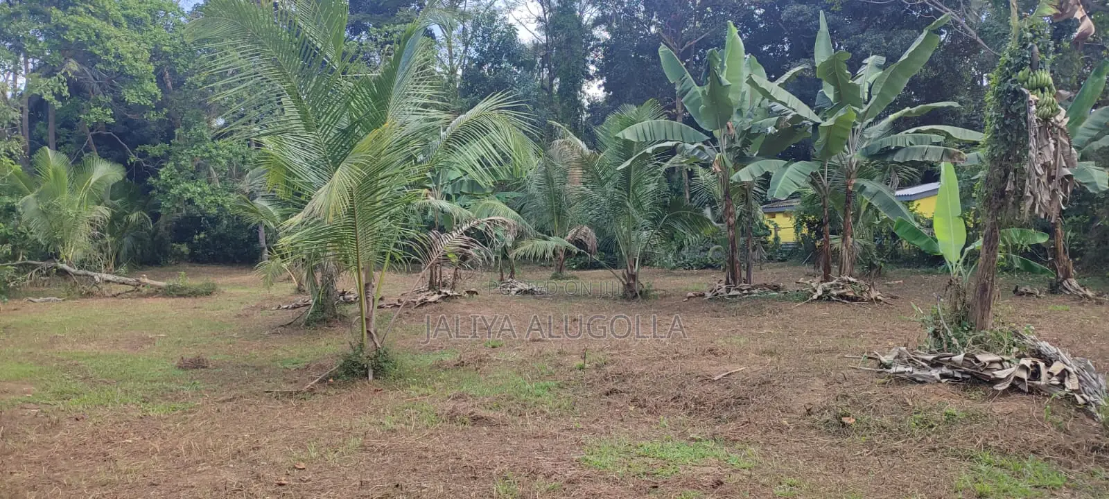 Lands for Sale in Bopitiya (Giriulla)