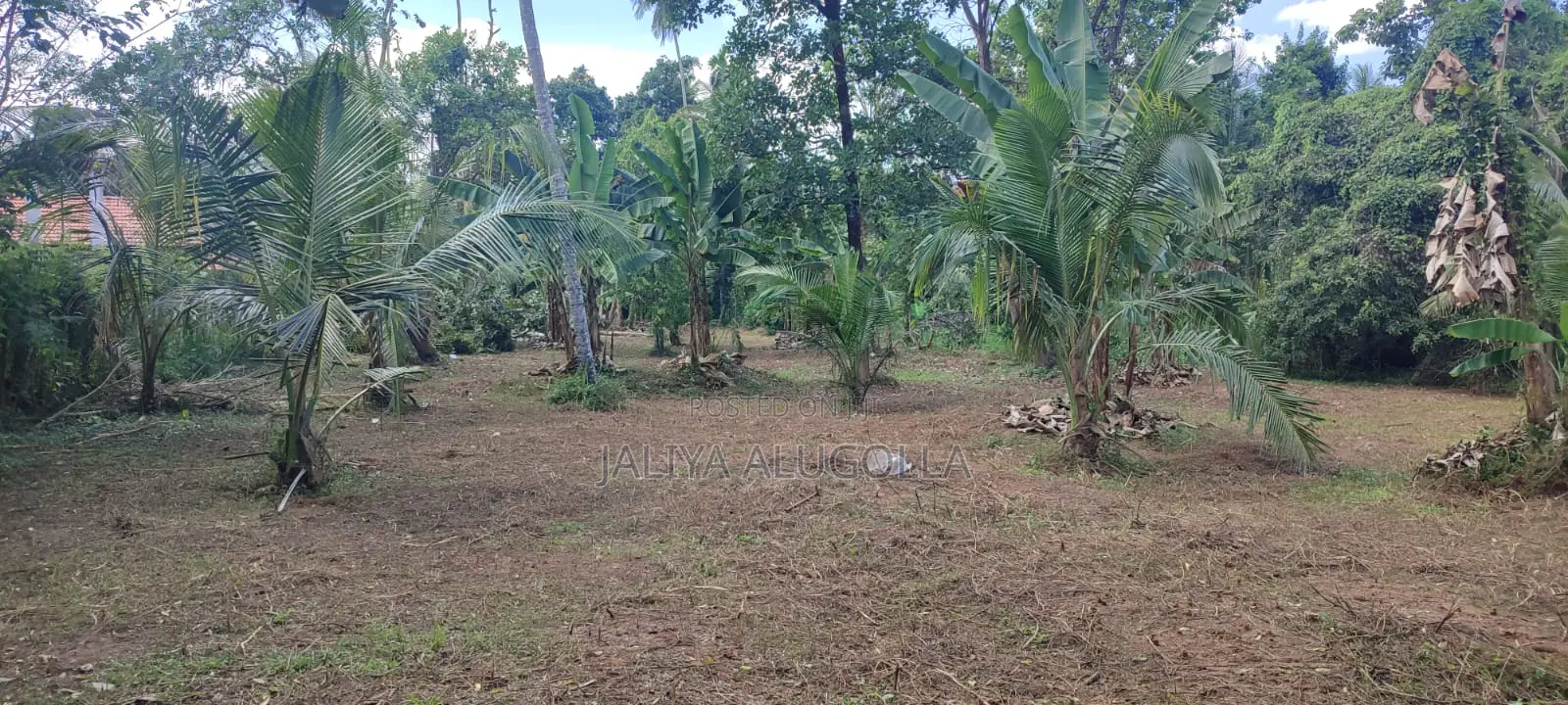 Lands for Sale in Bopitiya (Giriulla)