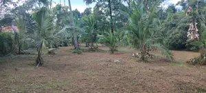 Lands for Sale in Bopitiya (Giriulla)