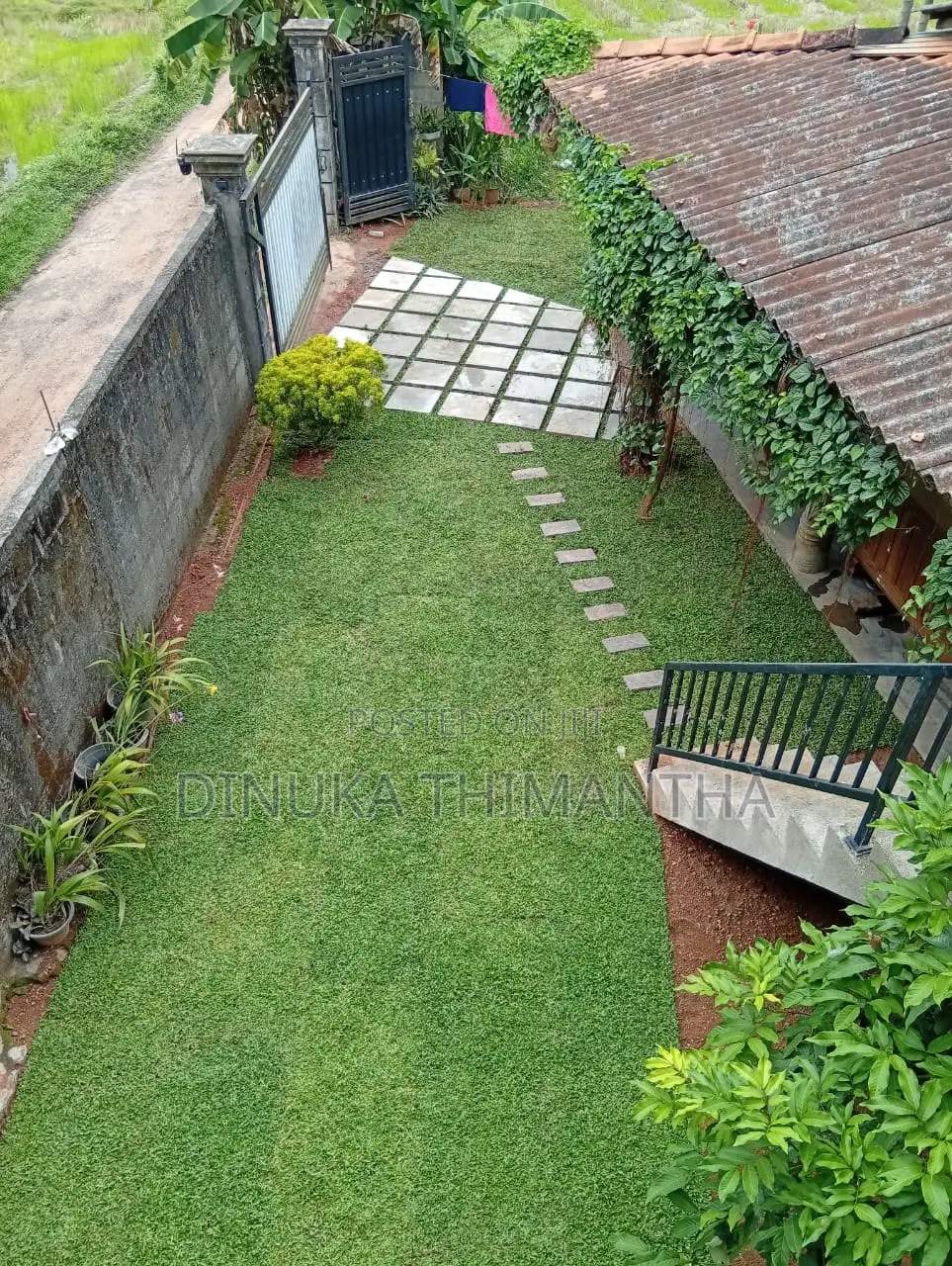 Landscape and Grass Supplier