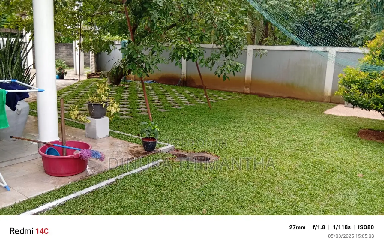 Landscape and Grass Supplier