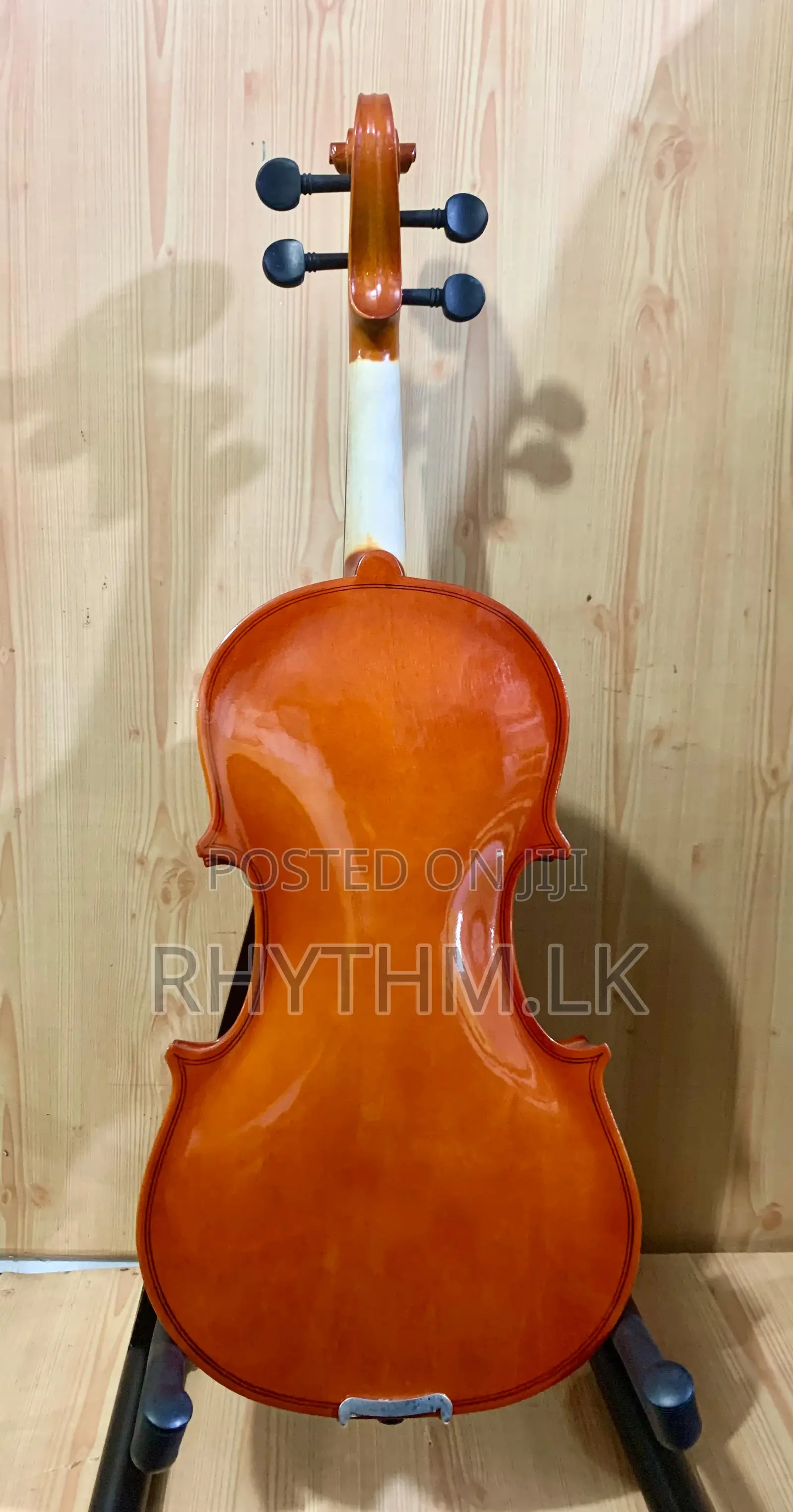 Lark Violins for the Lowest Price in Sri Lanka