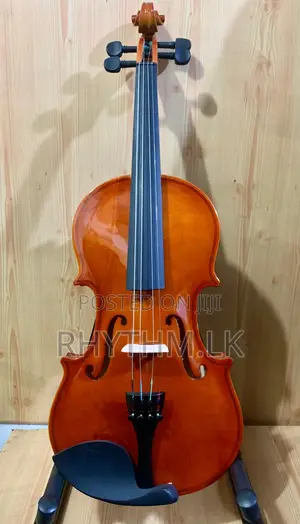 Lark Violins for the Lowest Price in Sri Lanka